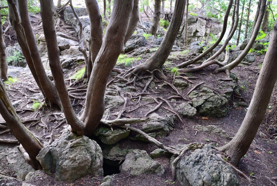Old Baldy Conservation Area景点图片