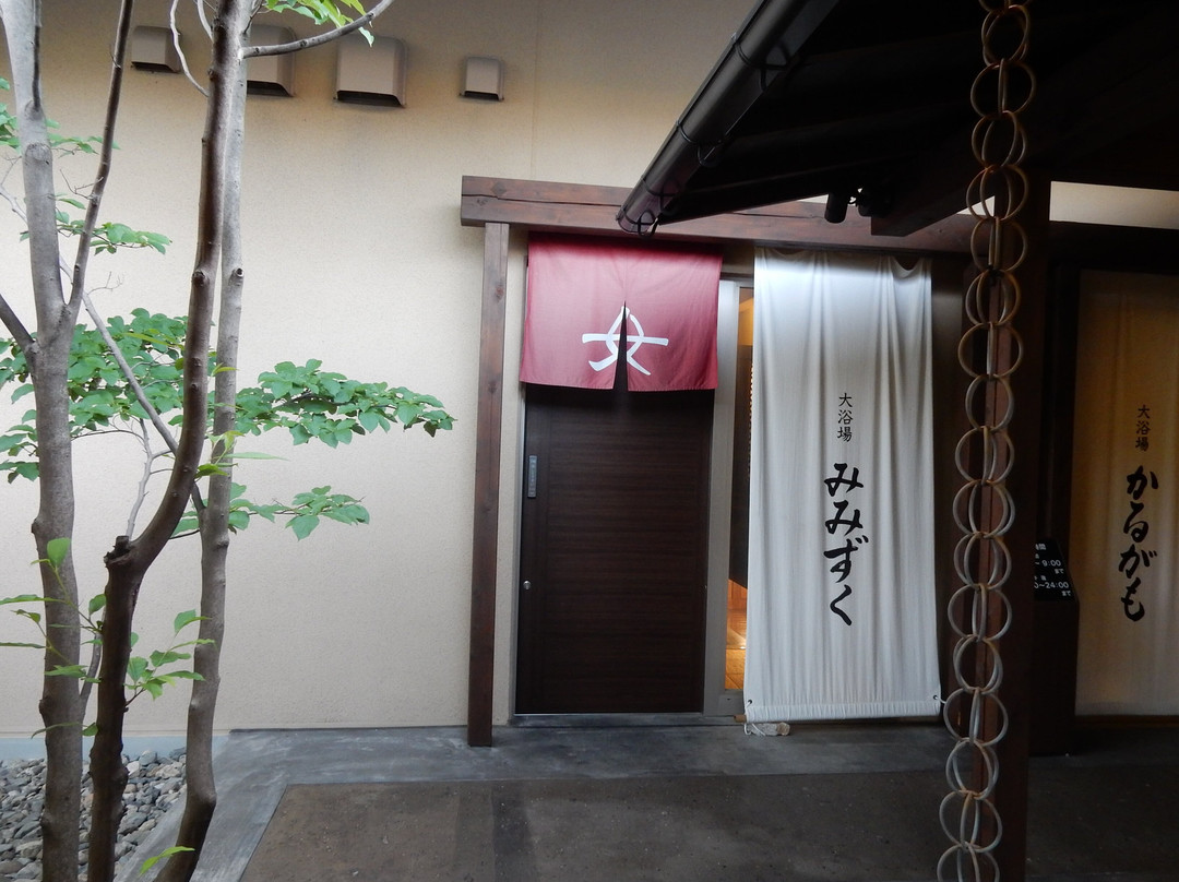 Kokian主图