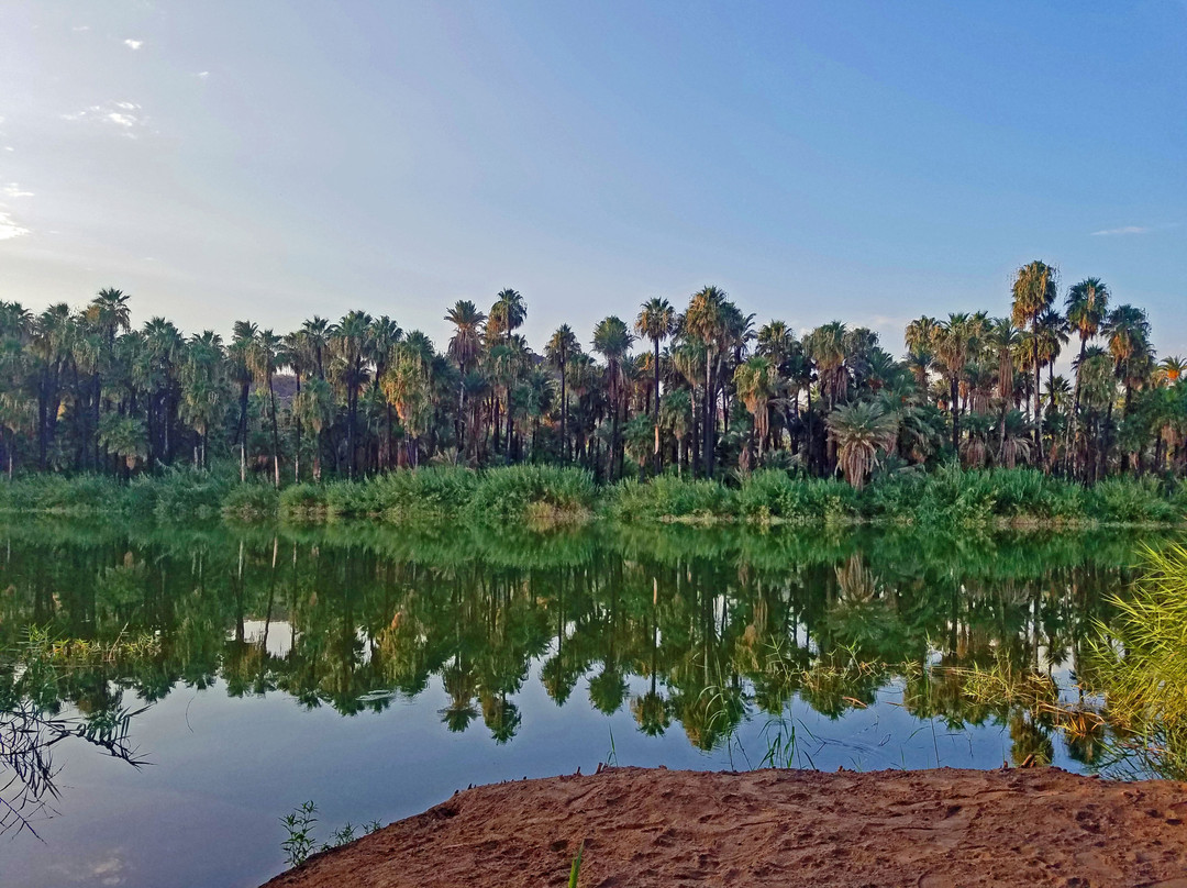 Ignacio Springs Bed & Breakfast主图