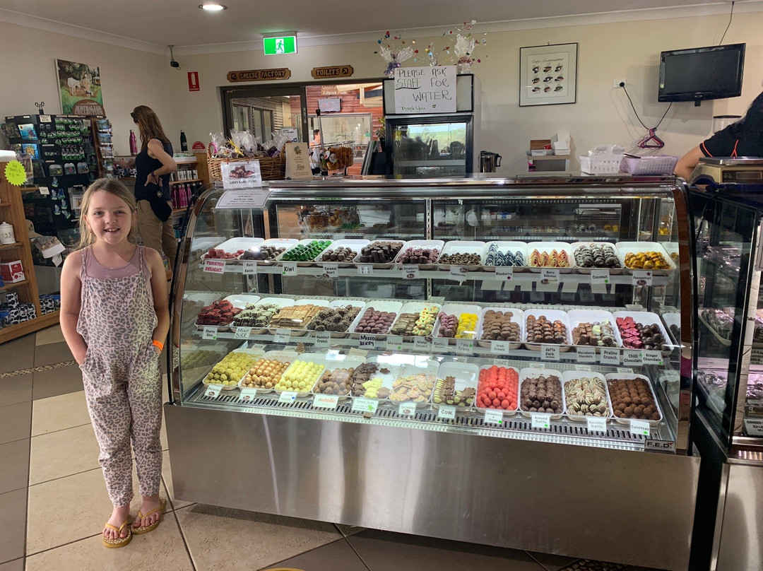 Gallo DairyLand-凯恩斯必去景点