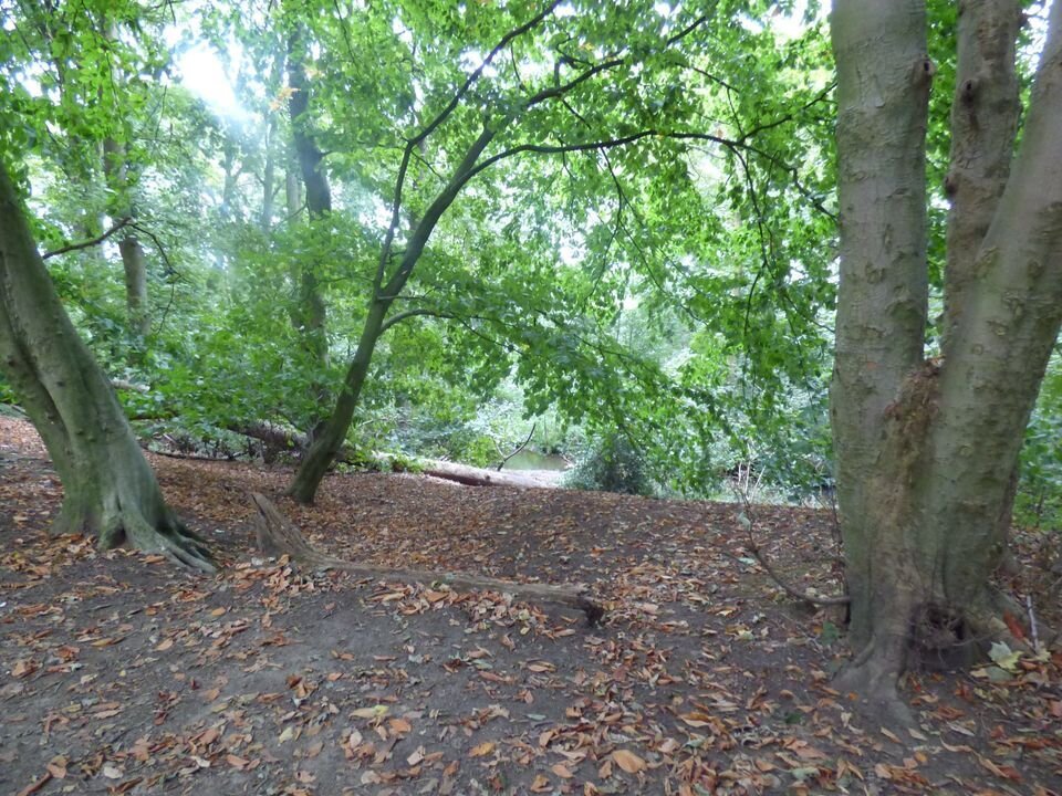Marbury Country Park-Northwich必去景点