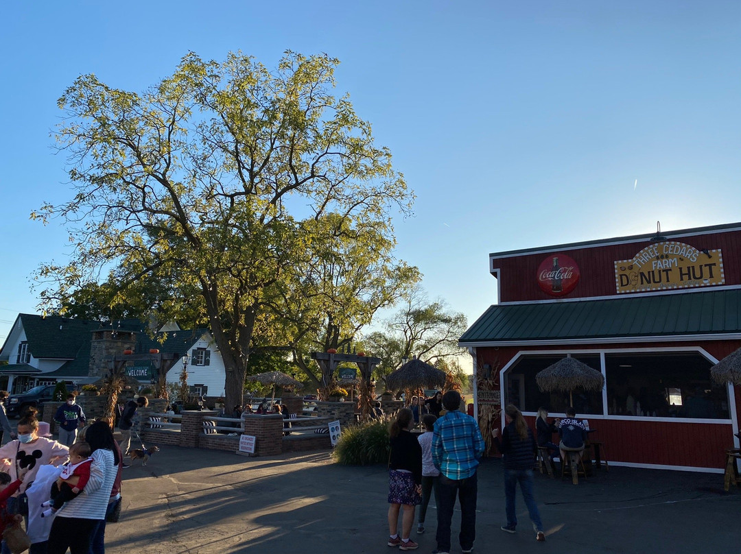 Three Cedars Farm-诺斯维尔必去景点