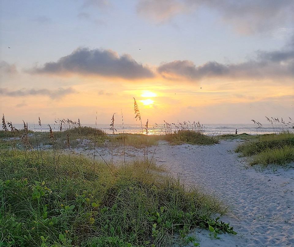 Sea Aire Motel主图