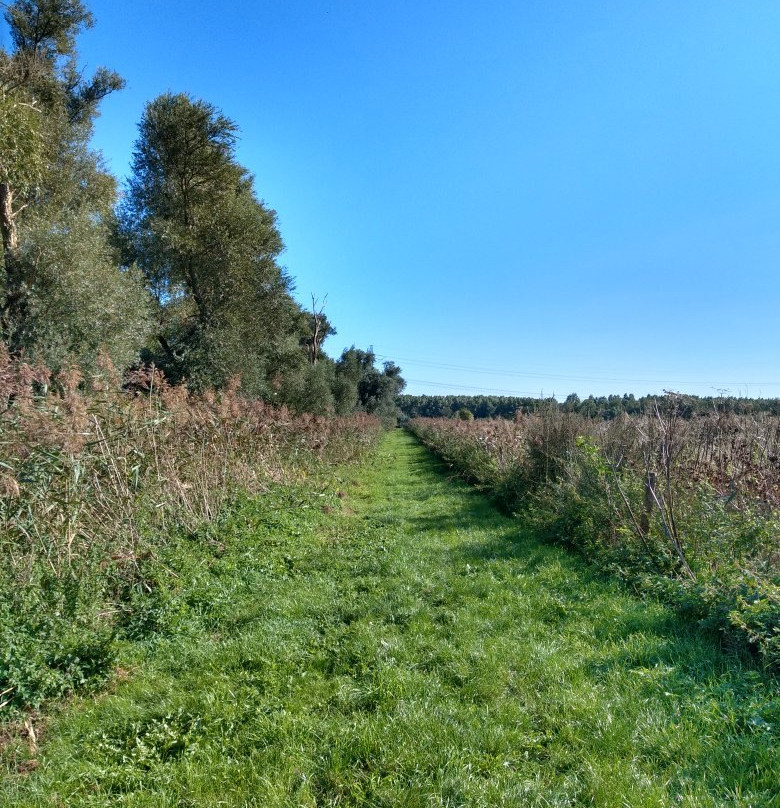 Oostvaardersplassen-阿尔梅勒必去景点