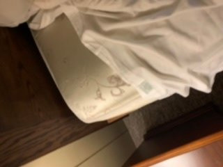 The Hungry Trout Resort主图