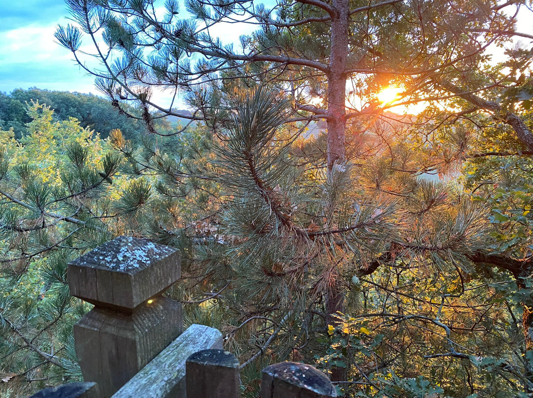 Peyrissas旅游攻略图片