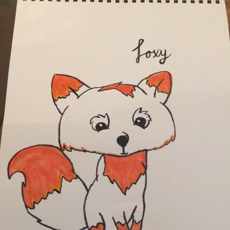 Conifox Adventure Park景点图片