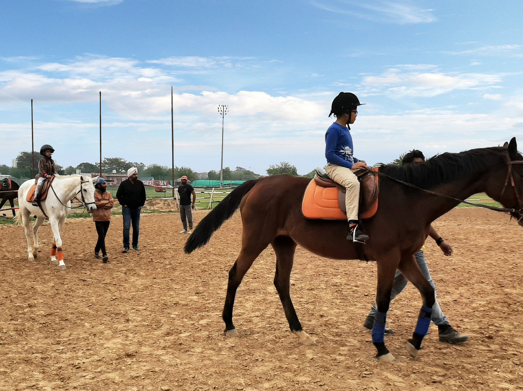 Duke Horse Riding Club-古尔冈必去景点