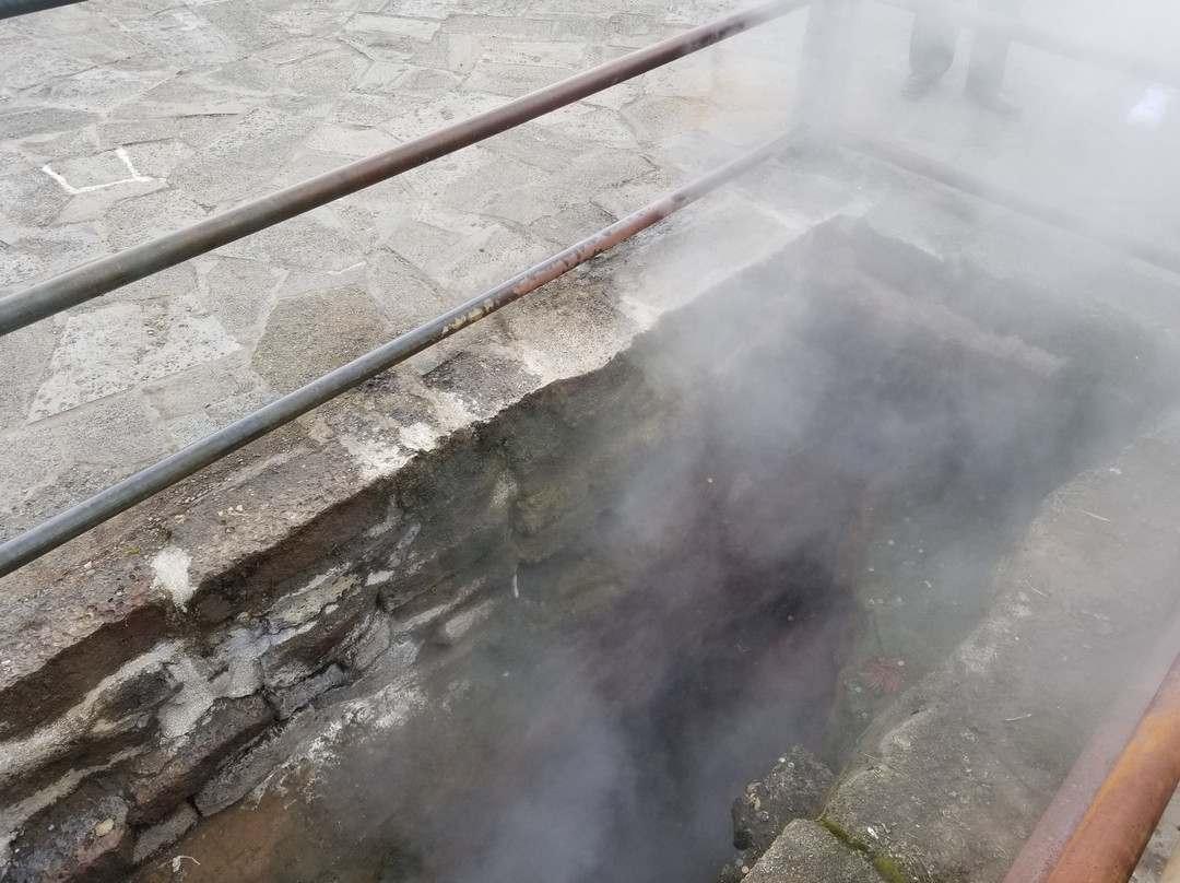 Steam Vents-帕霍亚必去景点