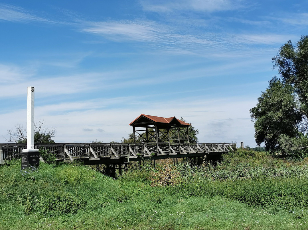 Brucke von Andau景点图片