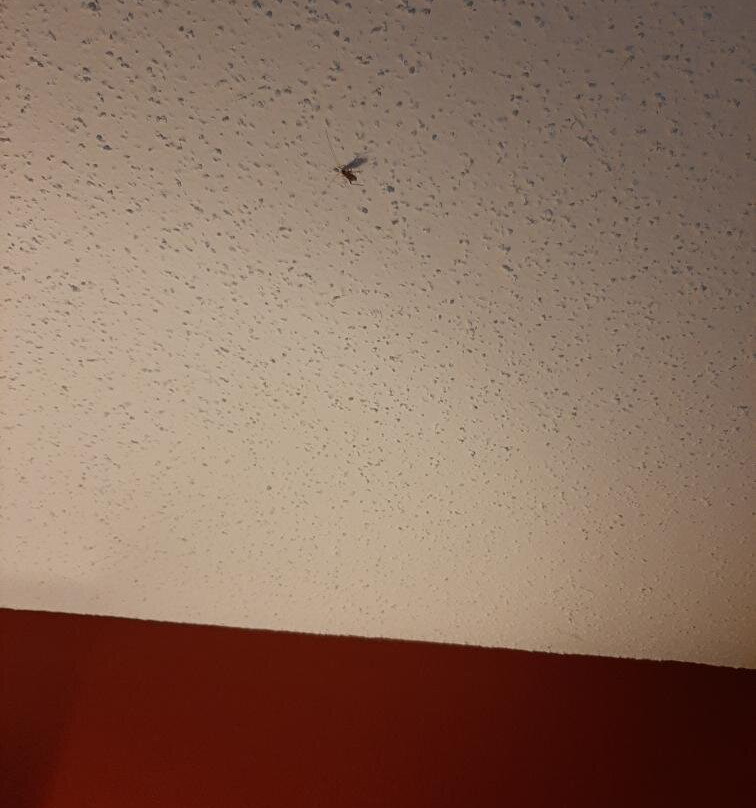 Residence Inn by Marriott Canton主图