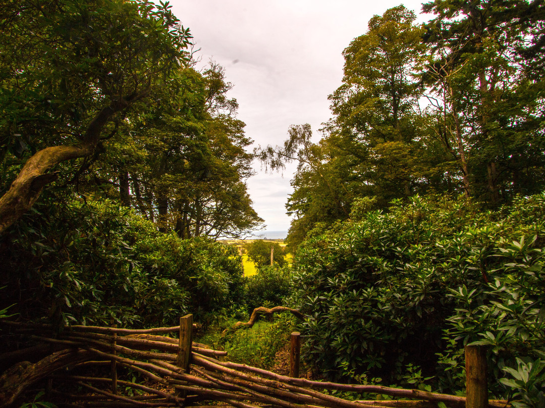 Sheringham Park景点图片