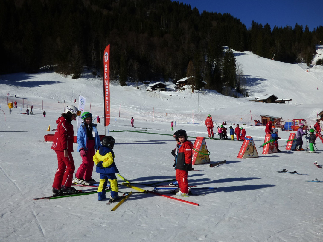 Ecole Suisse de Ski & Snowboard-Les Diablerets必去景点