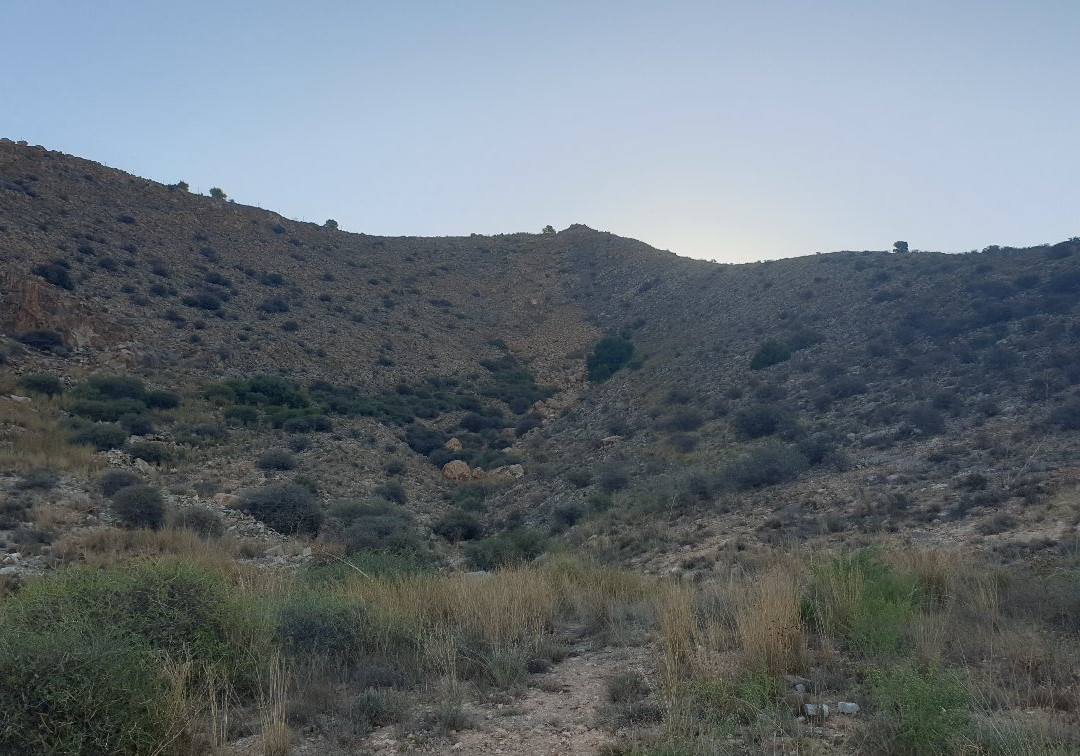 Cruz del Cabezo Gordo-Torre-Pacheco必去景点
