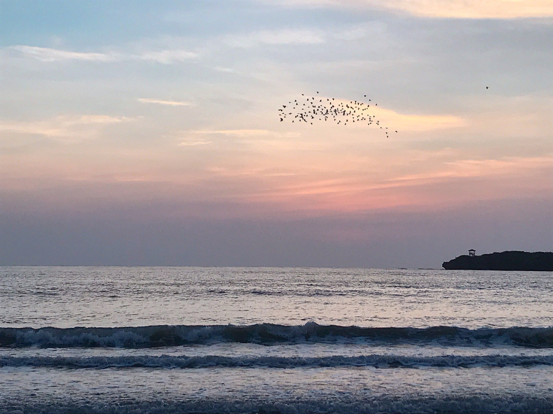 Todomari Beach景点图片