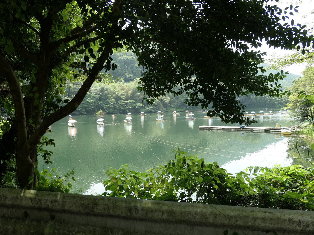 Maze Dam-本庄市必去景点