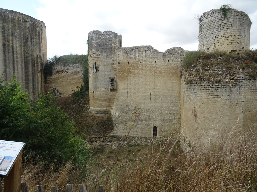 Chateau de Coudray-Salbart景点图片