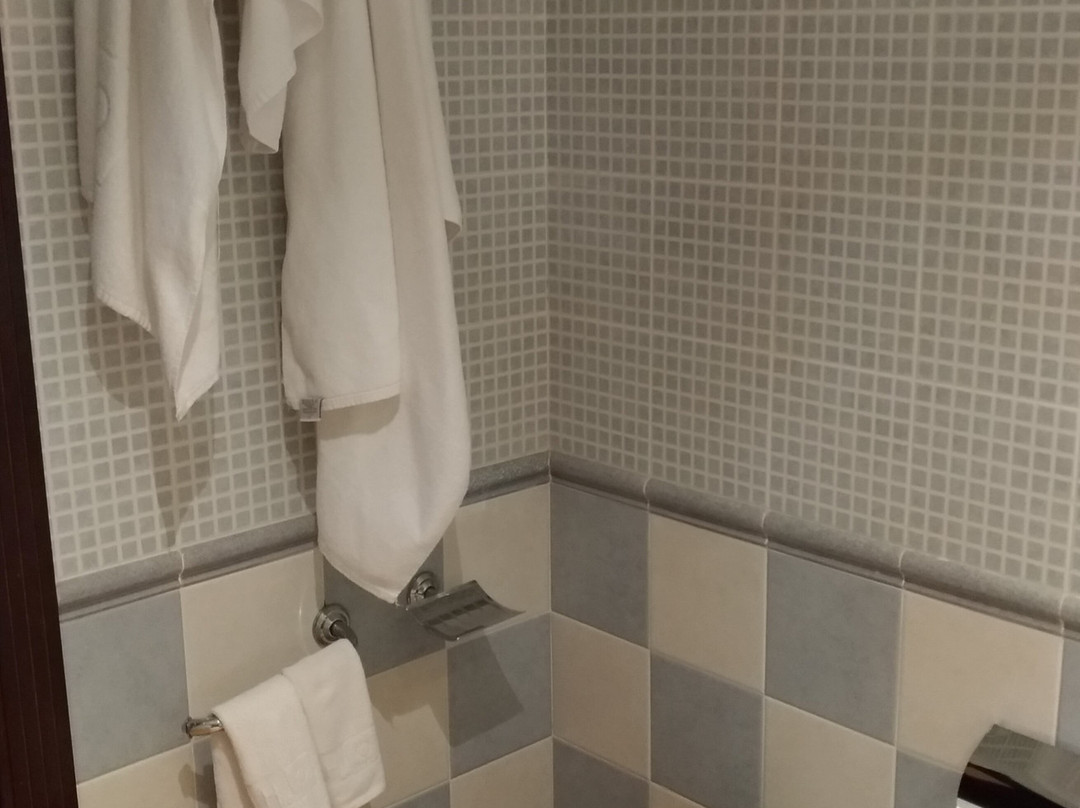 Hotel Ho Ciudad de Jaen主图