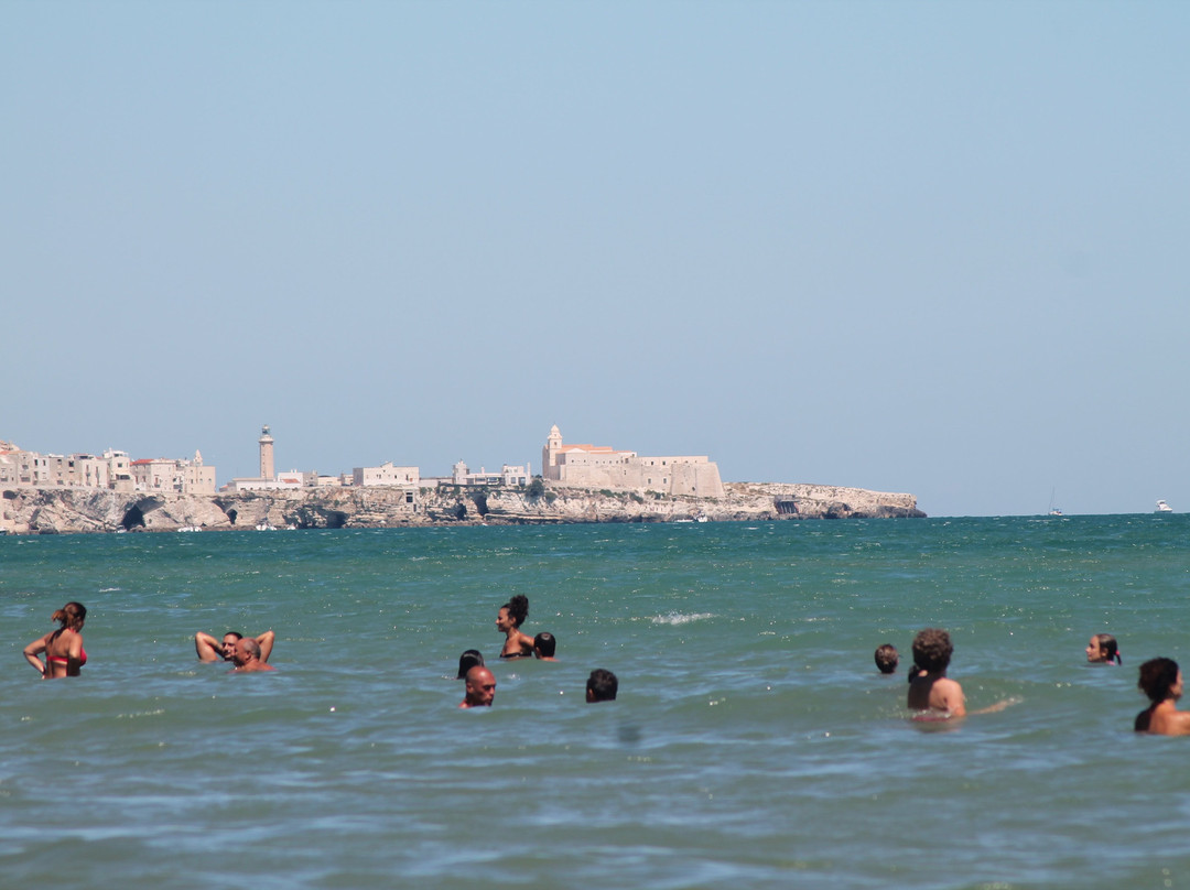 Spiaggia di Portonuovo景点图片