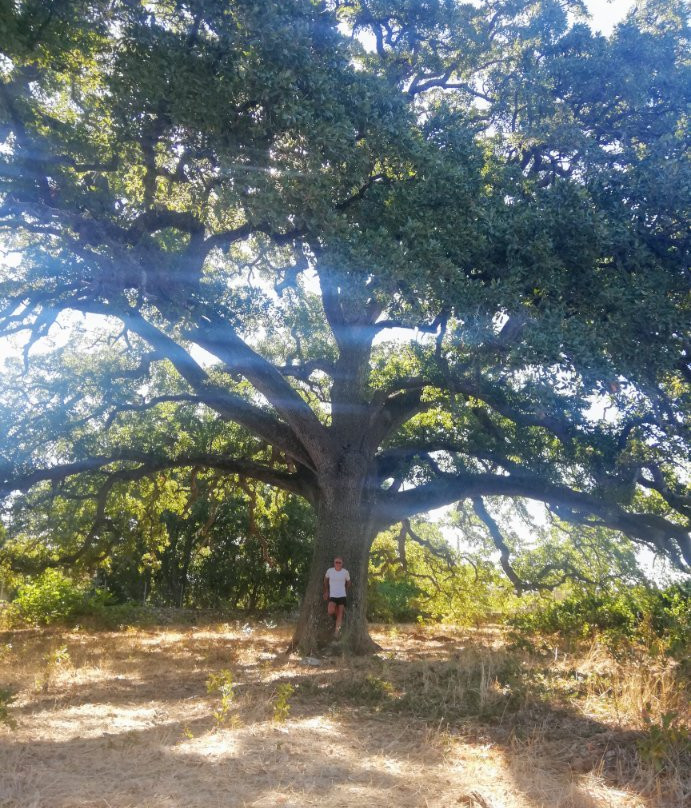 Marina Tricase - Porto Turistico-Porto Tricase必去景点