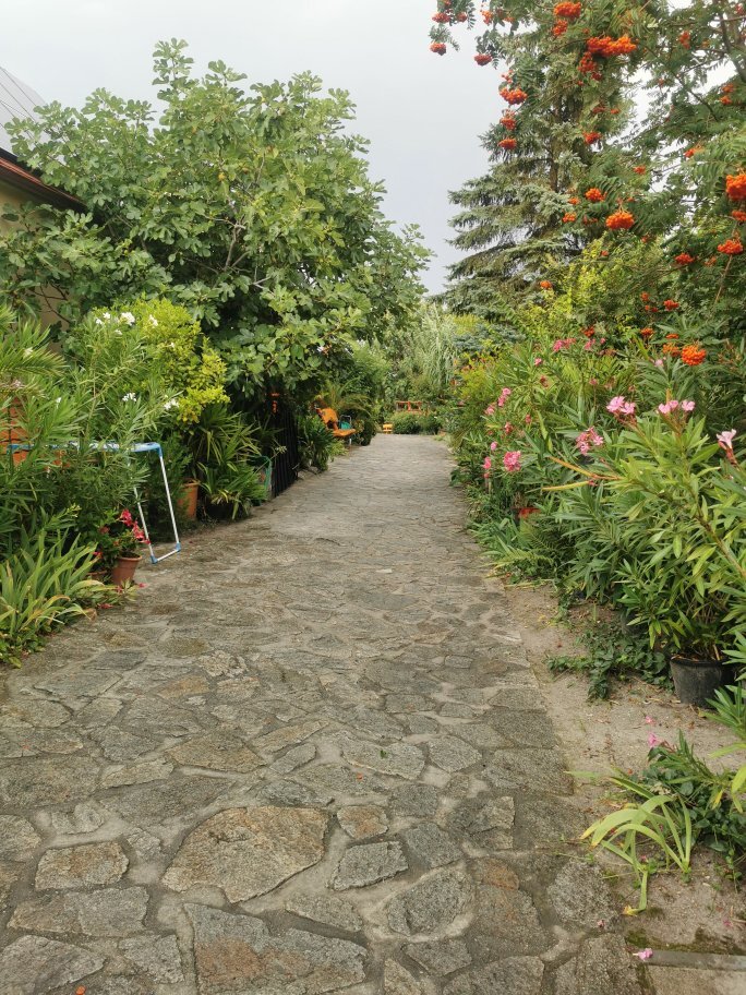 Szentesi Panzió Pension-官方