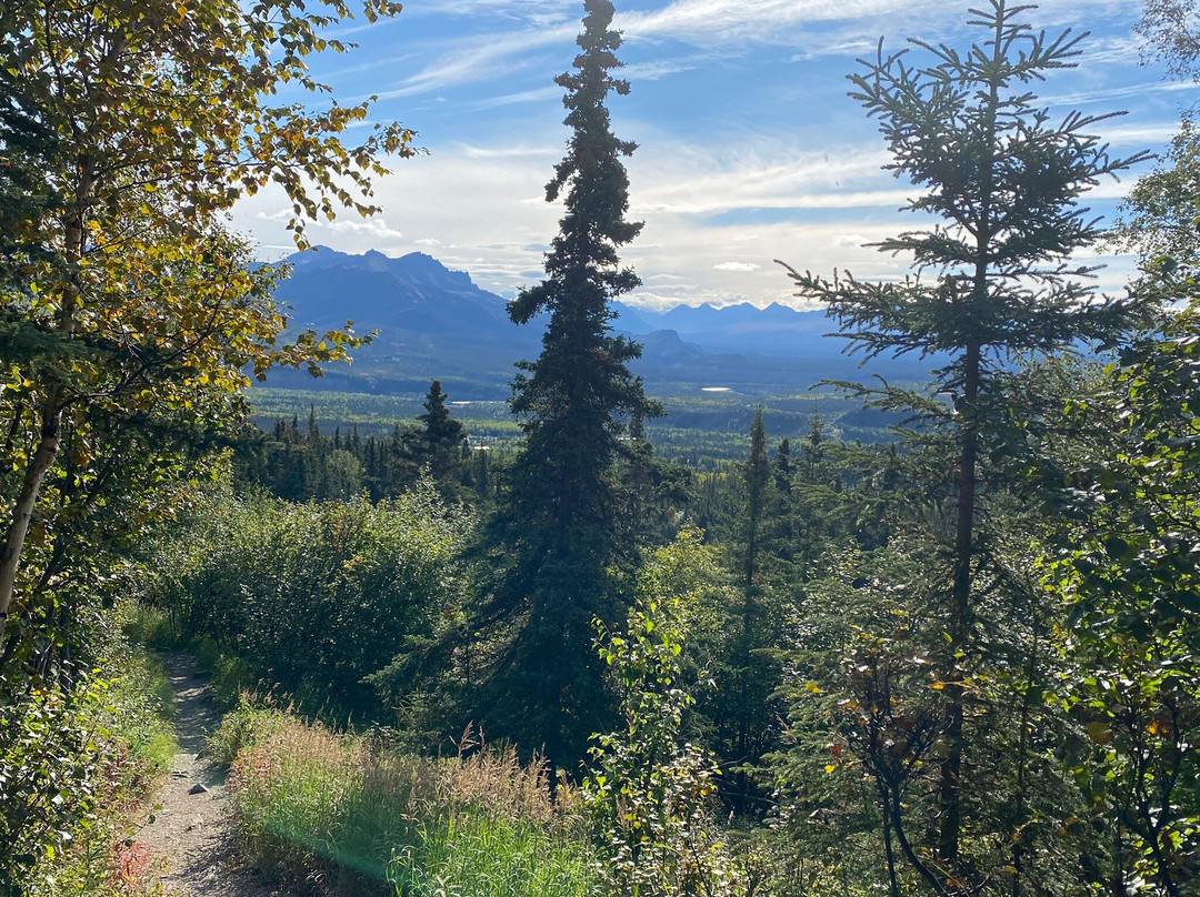 Mt. Healy Overlook Trail景点图片