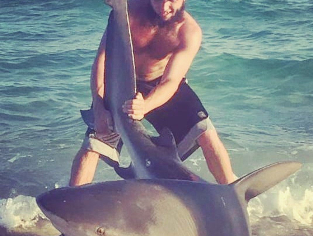 Off The Beach Shark Fishing Day Trips景点图片