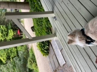 Staveleigh House Bed and Breakfast主图