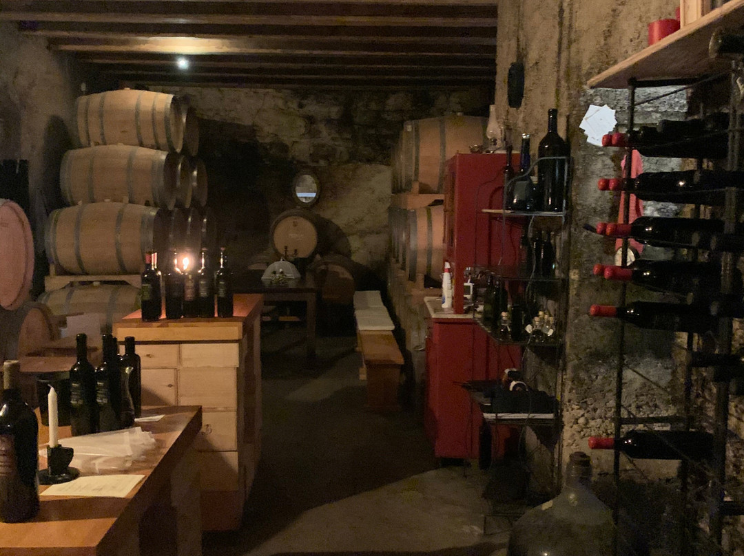 Hvar4You Travel Agency景点图片