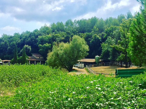 La Brague Park-比奥必去景点