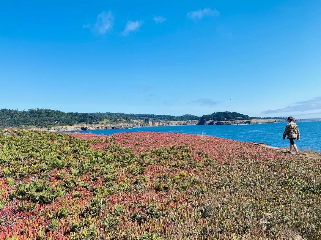 Mendocino Coast景点图片
