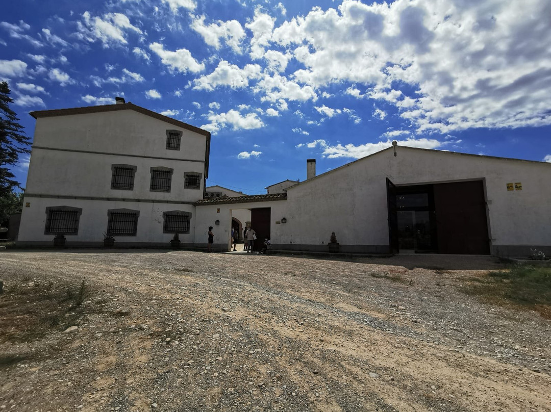 Bodega J. Miquel Jane-Font-Rubi必去景点