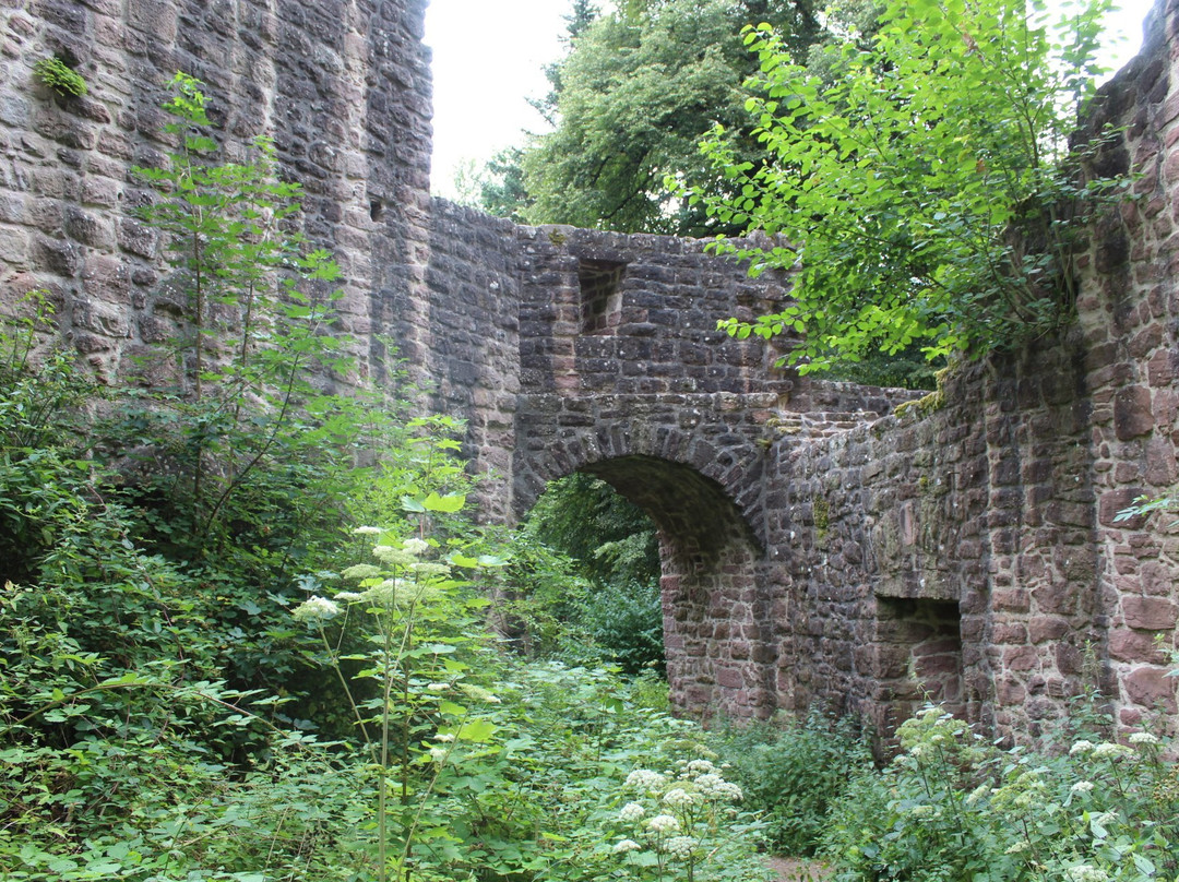 Castle Waldeck景点图片