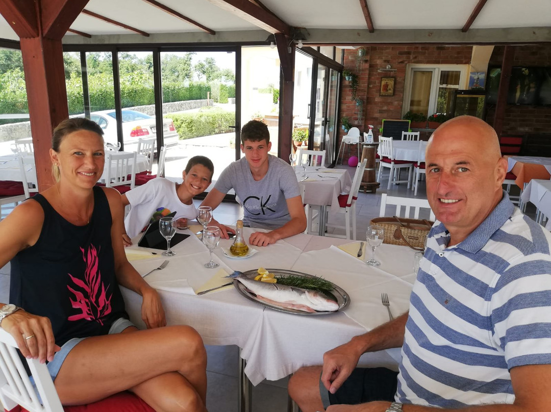 Vrh旅游攻略图片