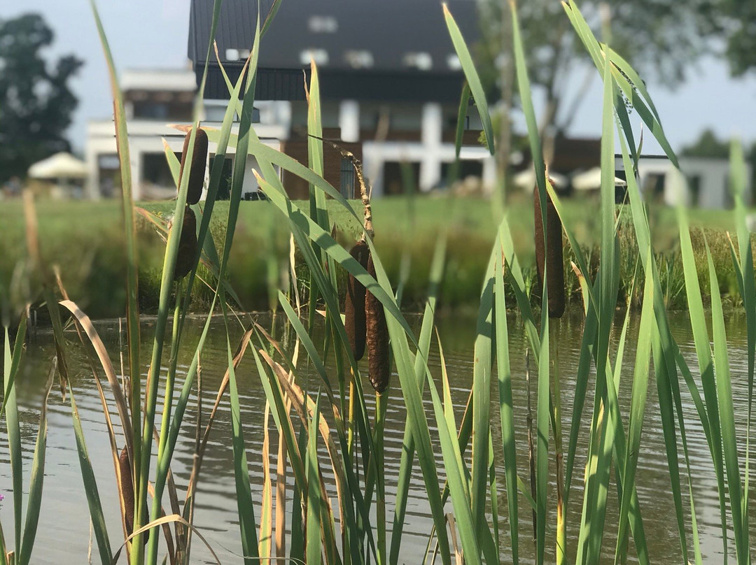 Natural Hotel Eco & Conference主图