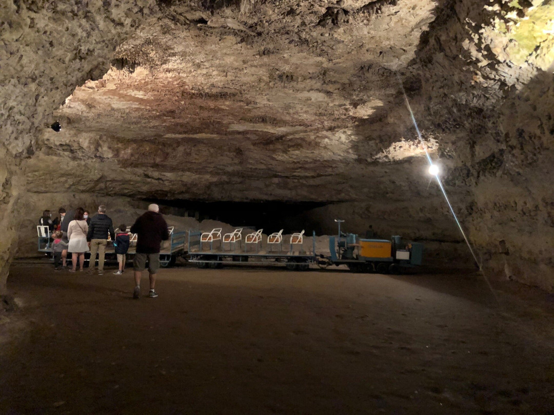 Rouffignac Cave景点图片