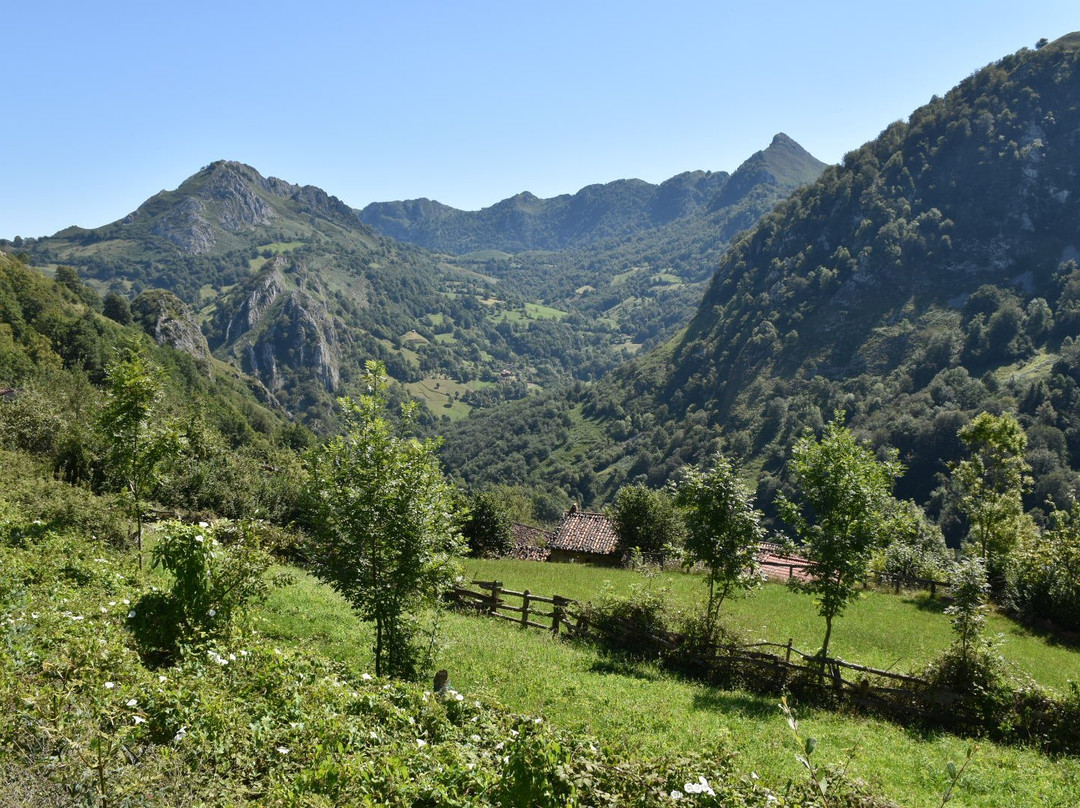 Parque Natural de Redes景点图片