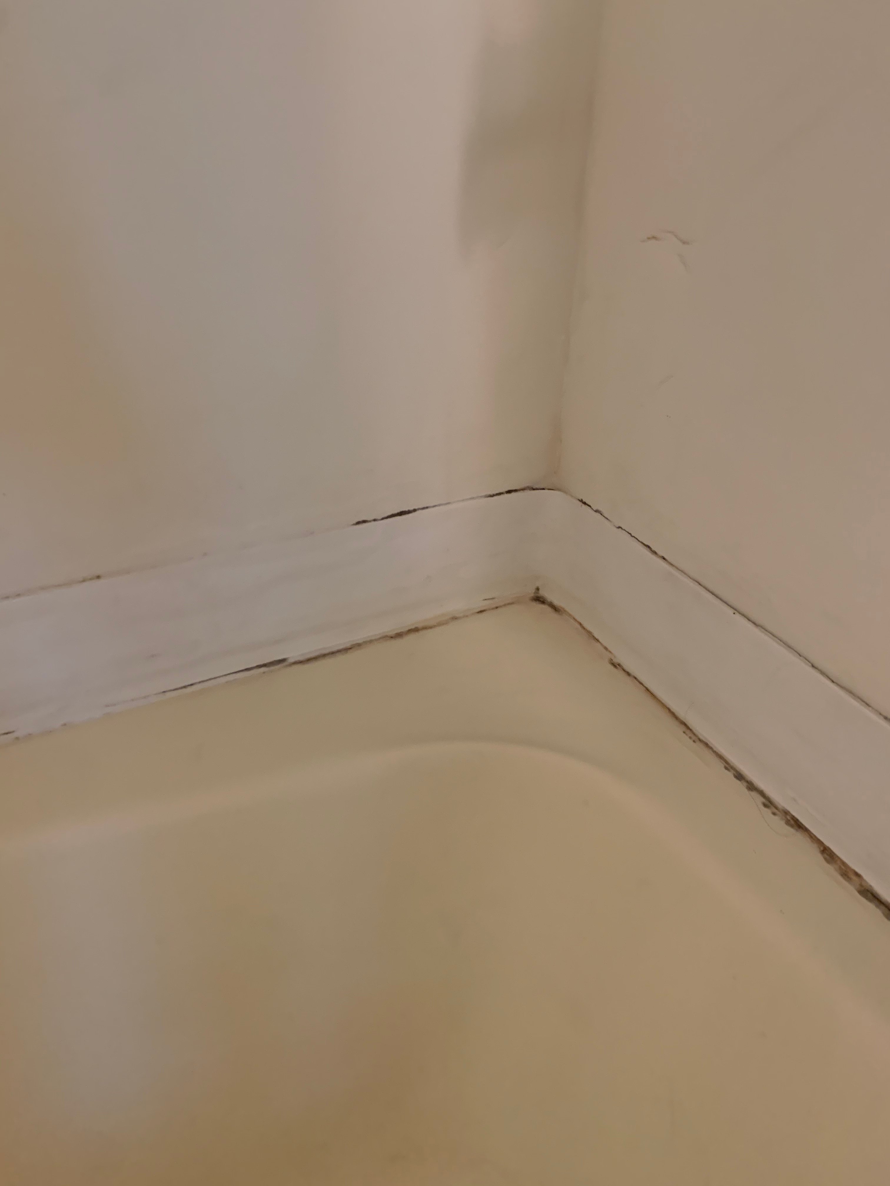 Grey Squirrel Resort-浴室