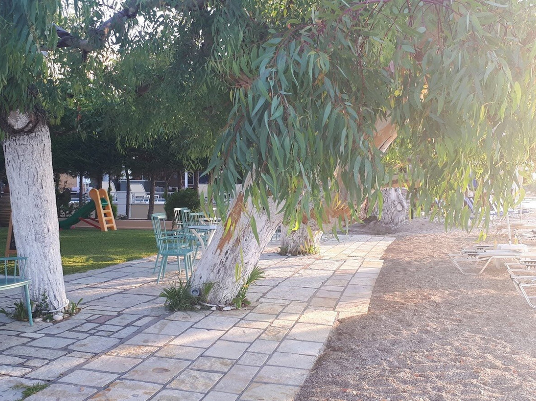 Eva Beach Hotel主图