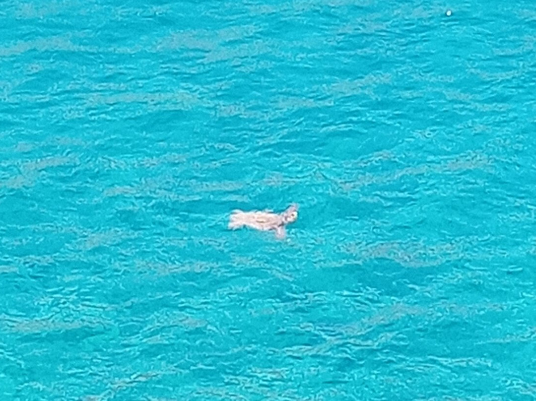 Excellent Crete-克里特岛必去景点