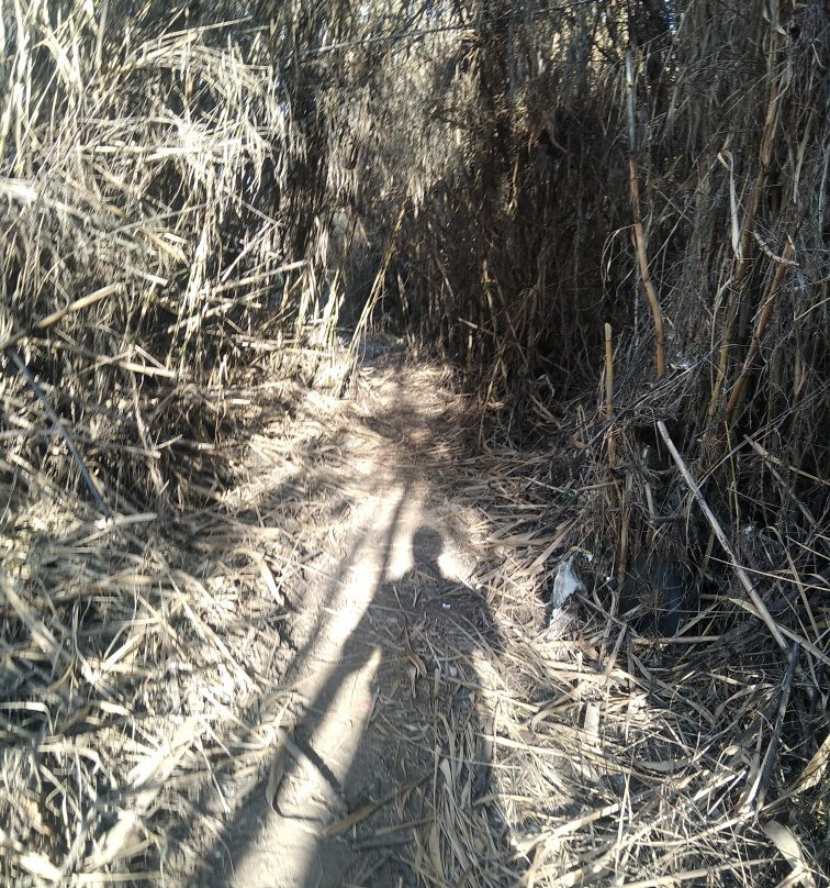 Phaladingwe Hiking Trail-Broederstroom必去景点