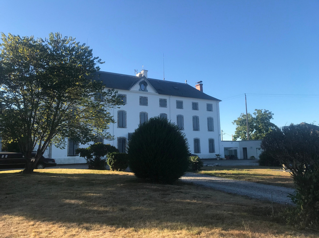 Le Chateau D'Orleix主图