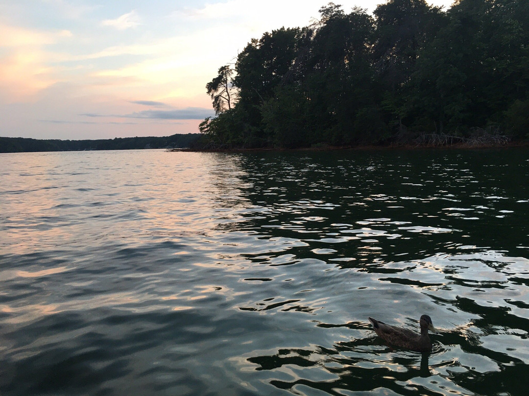 Smith Mountain Lake景点图片
