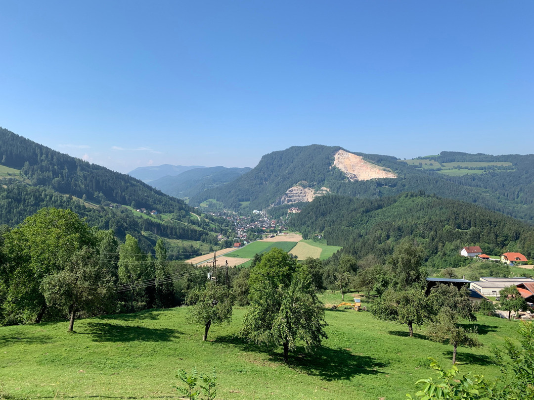 Biolandhaus Arche主图