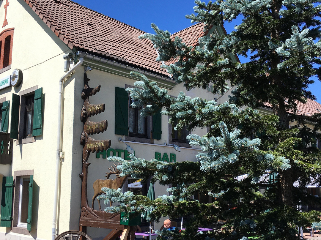 Auberge du Col du Bonhomme主图