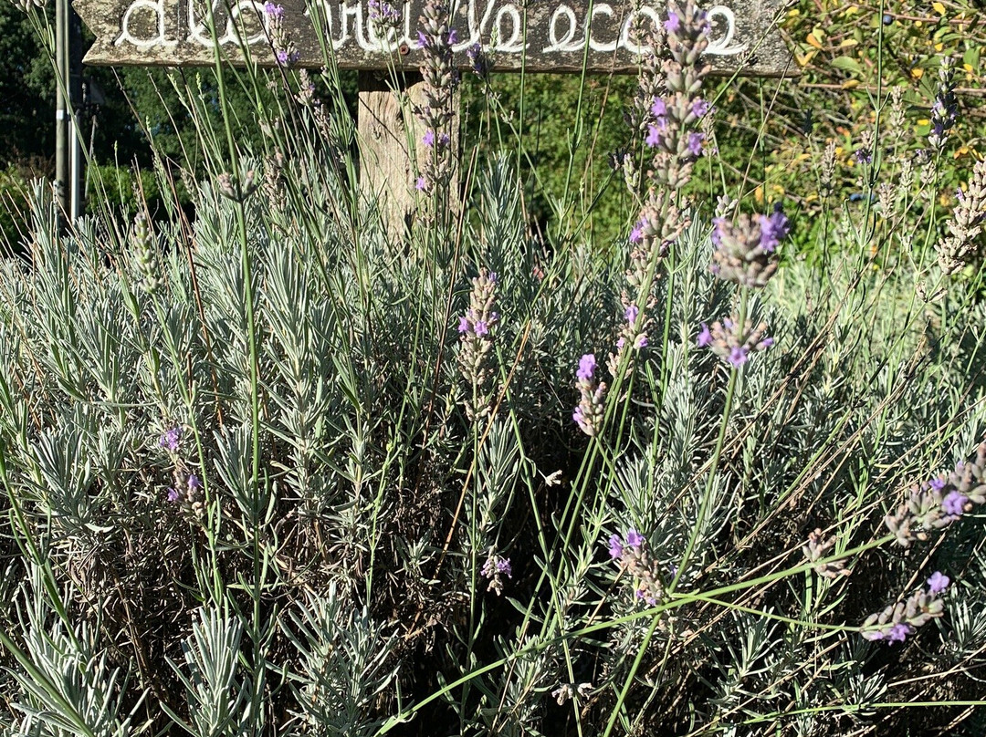 A la vieille école主图