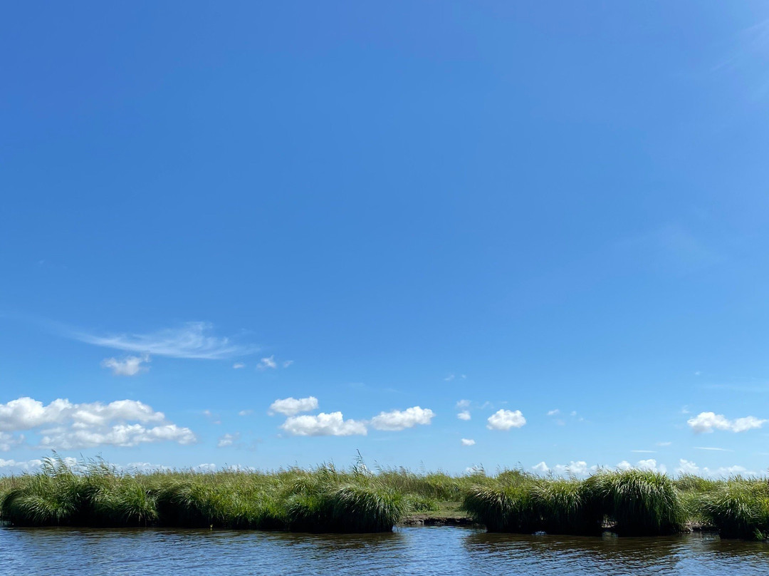 Réserve Naturelle Régionale Marais de Brière - Site Pierre Constant景点图片