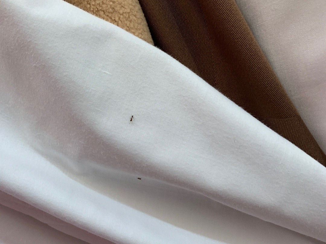 Bell酒店住宿-Diamond Bell Inn & Suites