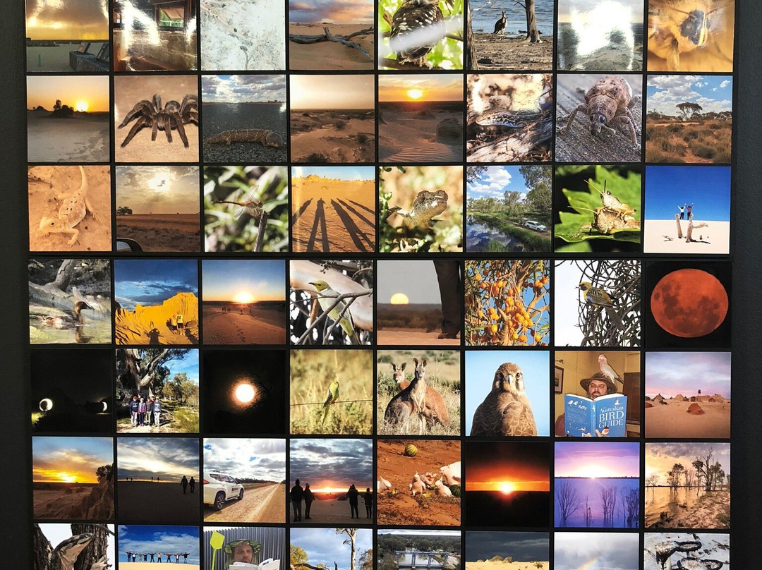 Balranald Art Gallery-Balranald必去景点