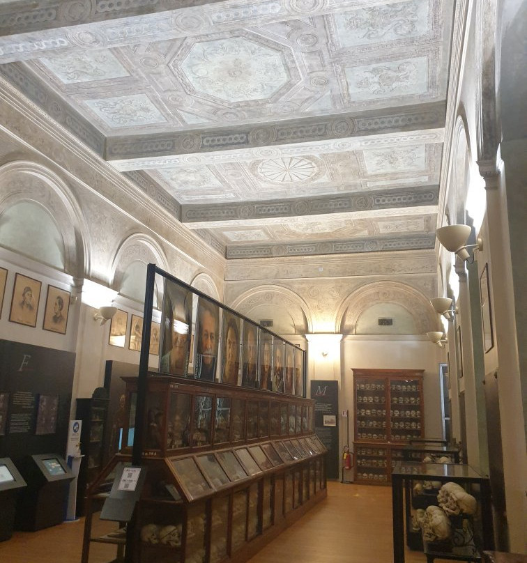 Museo di Antropologia Criminale Cesare Lombroso景点图片